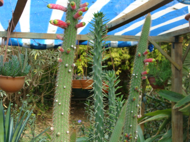 DSC00134.JPG