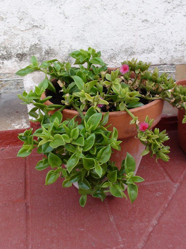 DSC00137.JPG