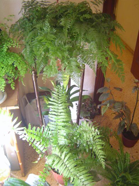 DSC00153.jpg