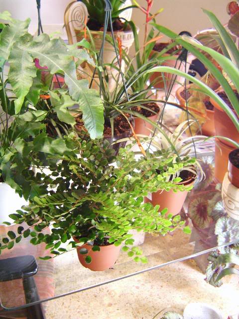 DSC00156.jpg