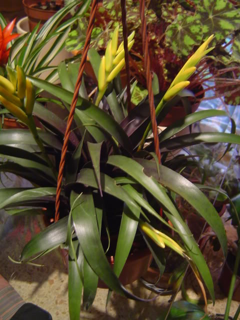 DSC00167.jpg