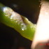 dsc0017043.php.jpg