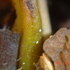 dsc0017537.php.jpg