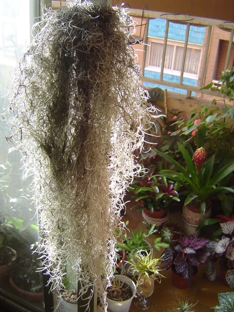 DSC00177.jpg