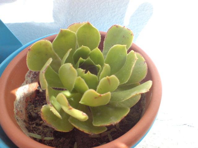 DSC00177.jpg
