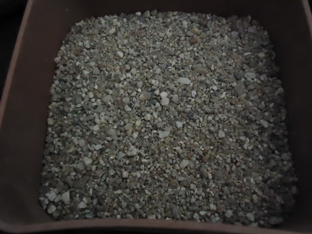 DSC00193.jpg