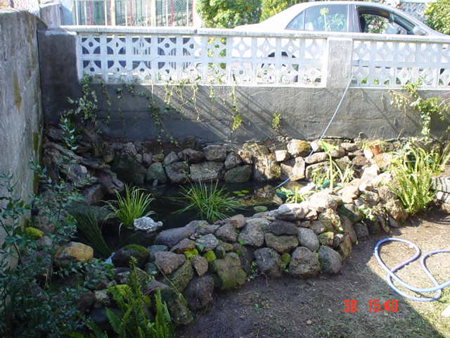 DSC00203%7E0.JPG