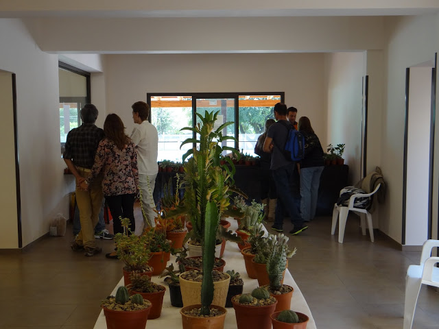 DSC00217.JPG