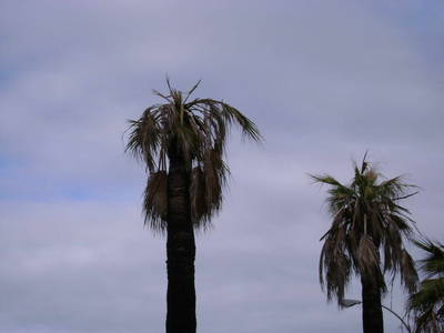 DSC00221_redimensionar.jpg