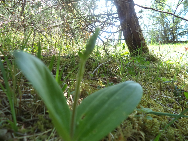 dsc00237.jpg