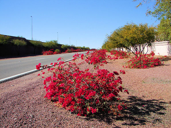 Dsc00259.jpg