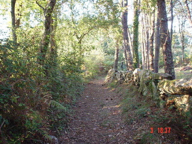 DSC00260.JPG