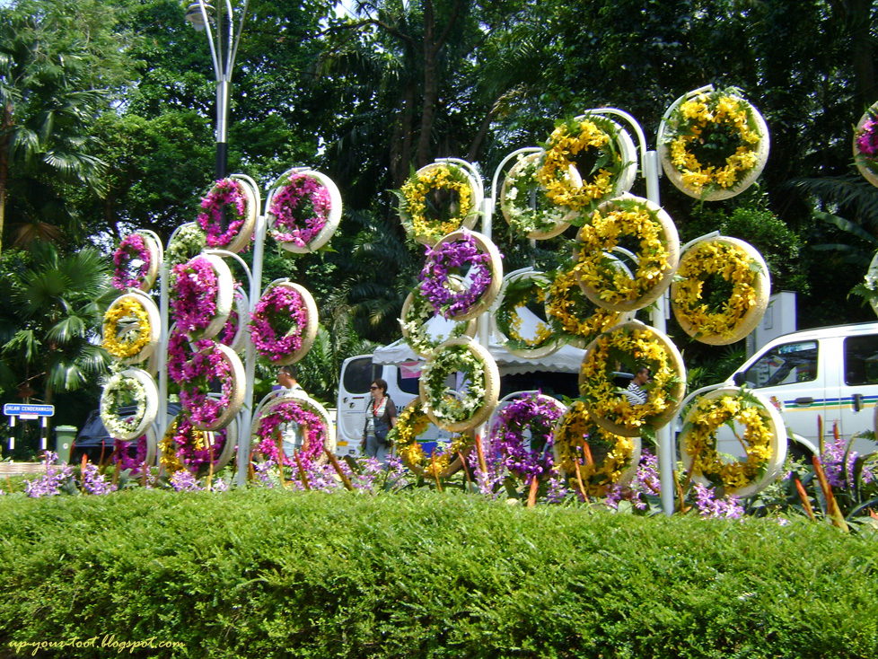DSC00263%20orchid%20tyres%20(web).jpg