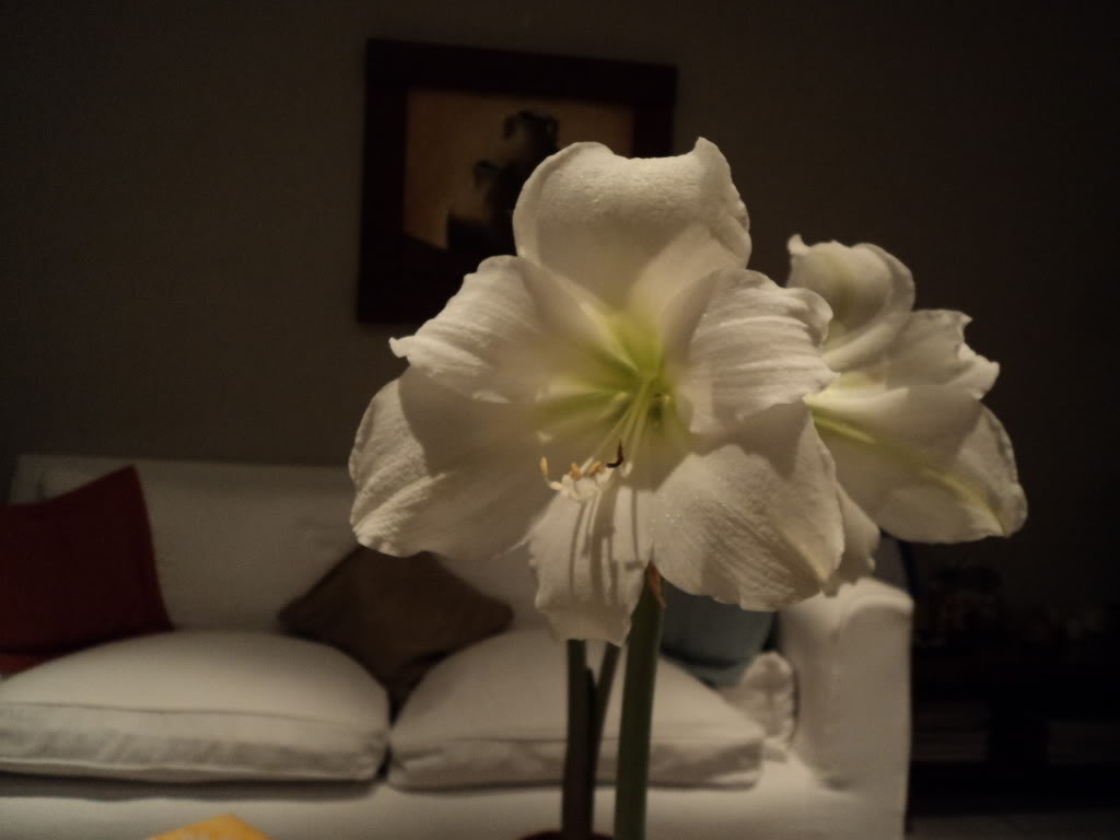 DSC00280.jpg
