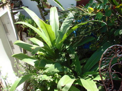 DSC00293.JPG