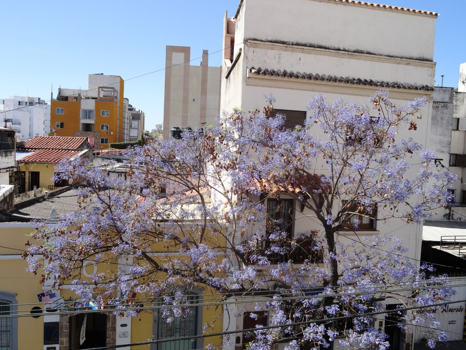 dsc003161.jpg