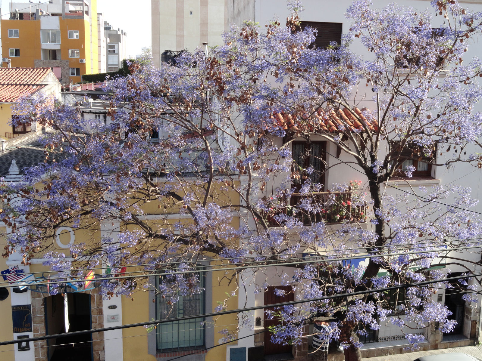 dsc003171.jpg