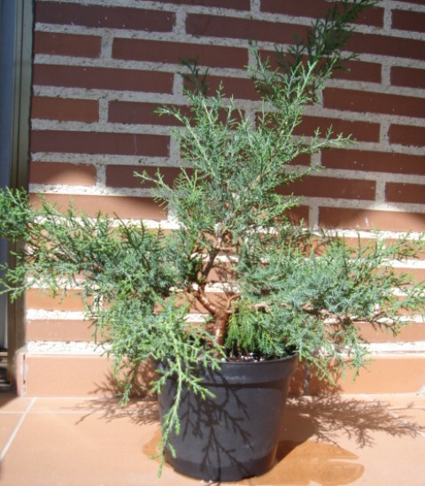 DSC00320.JPG