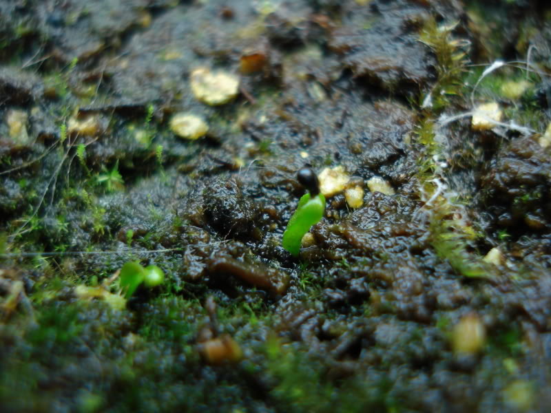 DSC00320.jpg