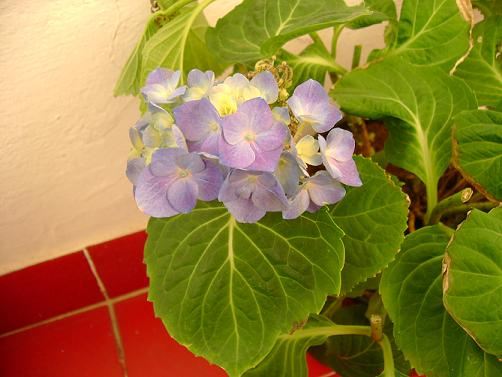 DSC00331.JPG
