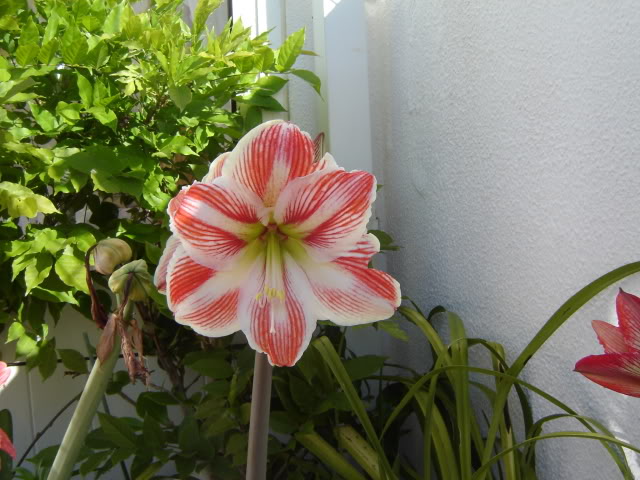 DSC00360.jpg