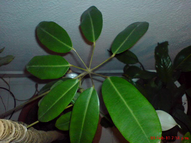 DSC00372.jpg