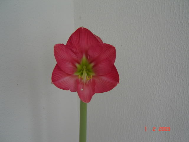 DSC00373.jpg