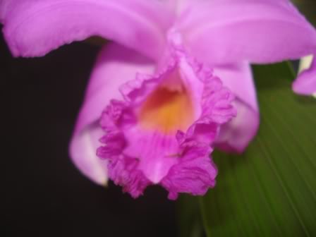 DSC00379-1.jpg