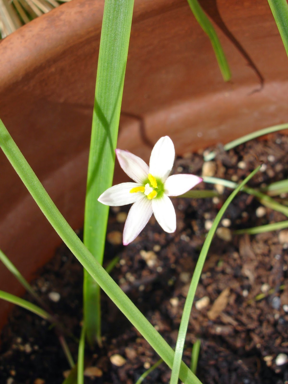DSC00385.JPG
