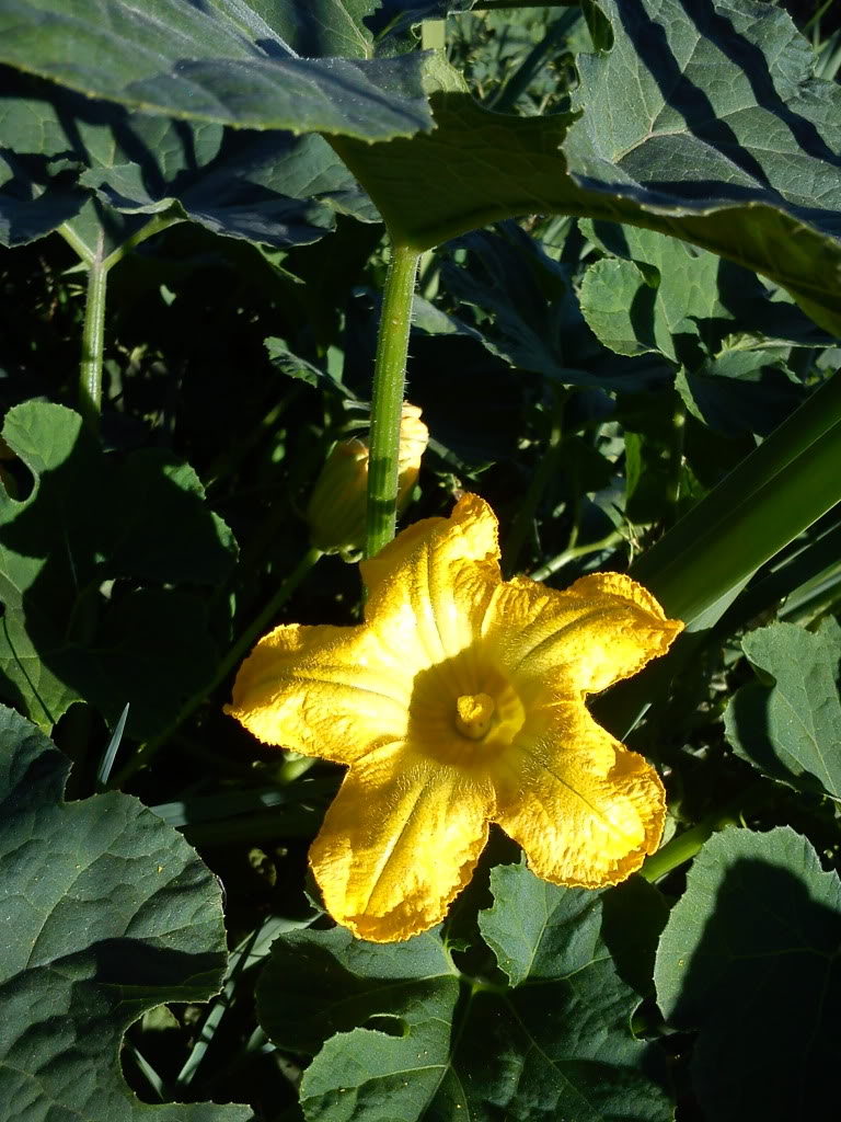 DSC00400.jpg