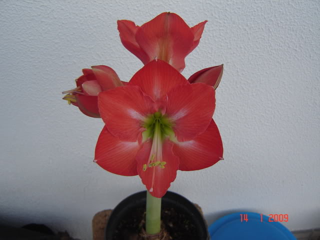 DSC00401.jpg