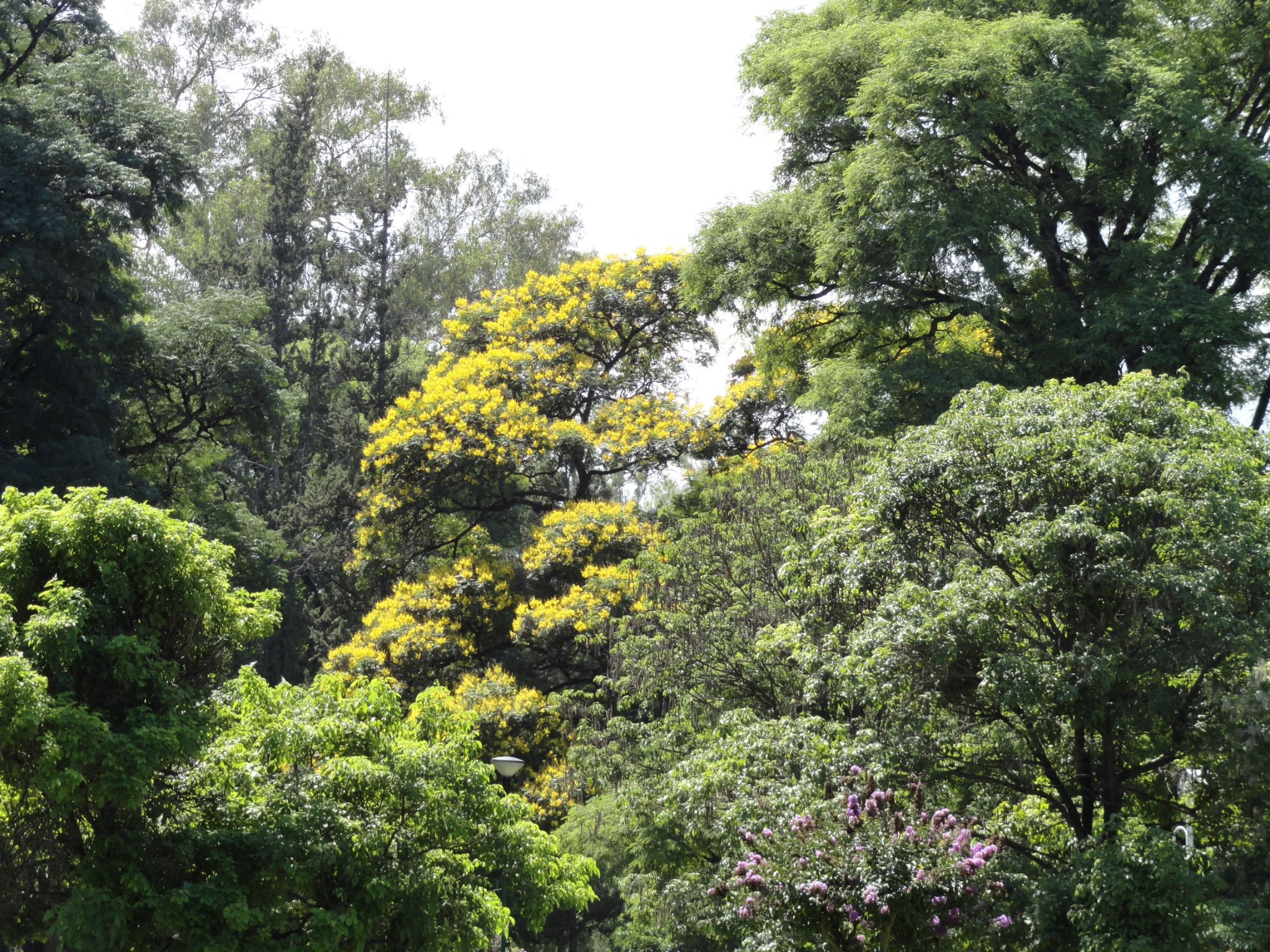 dsc004022.jpg