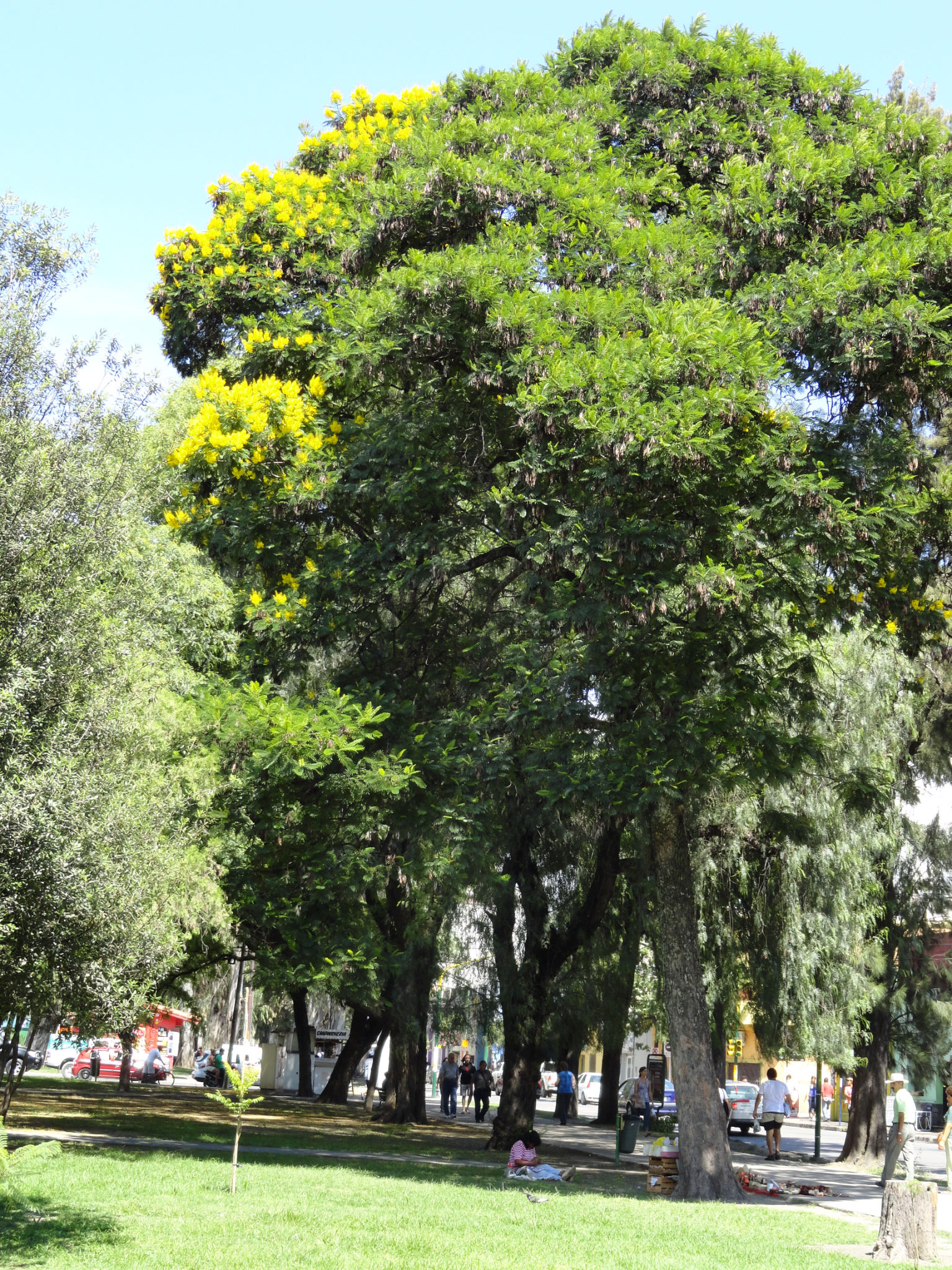 dsc004041.jpg