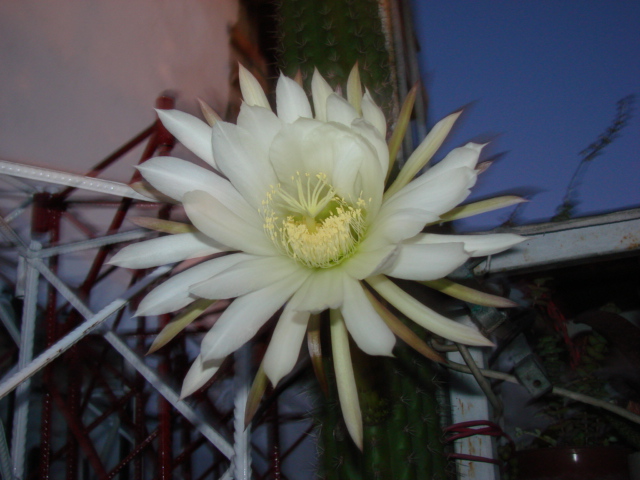 DSC00407.JPG