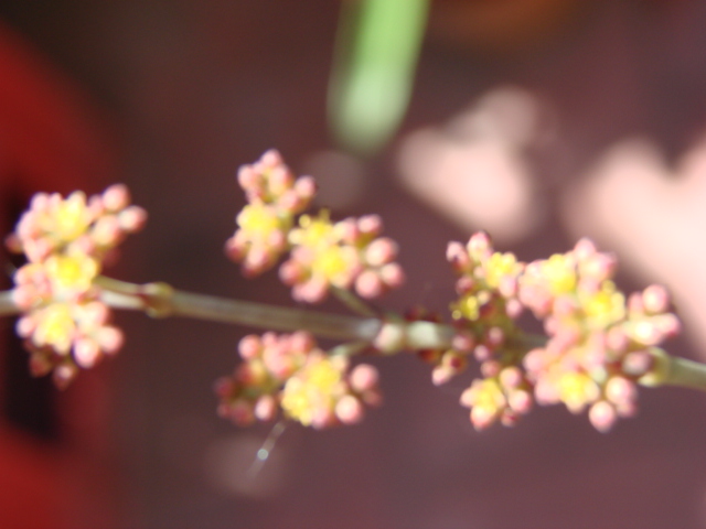 DSC00412.JPG