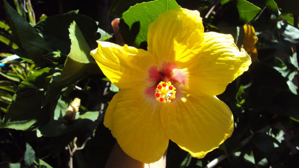 DSC00421.jpg