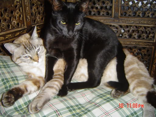 DSC00422.jpg