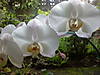 DSC00443.JPG