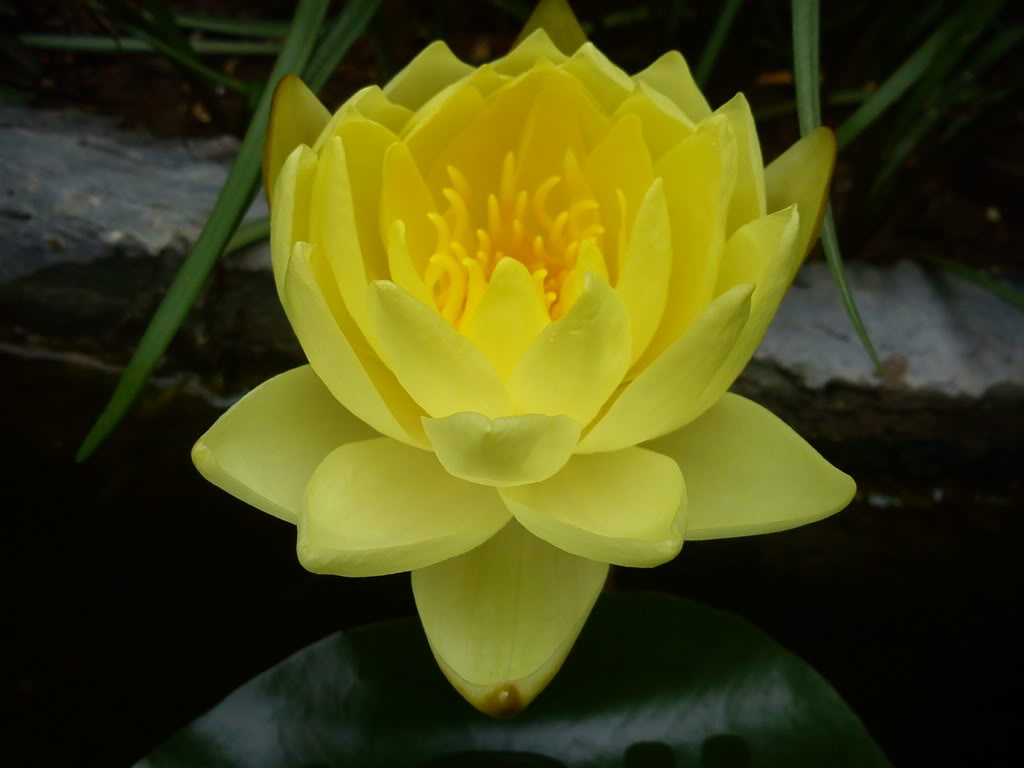 DSC00455.jpg