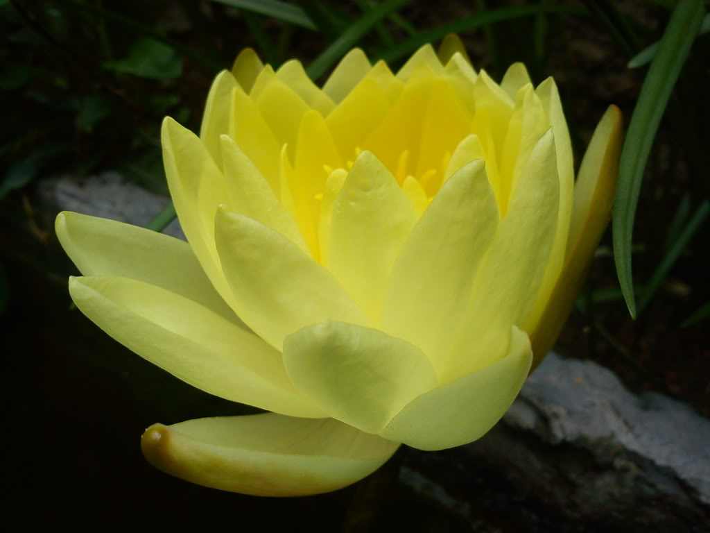 DSC00456.jpg