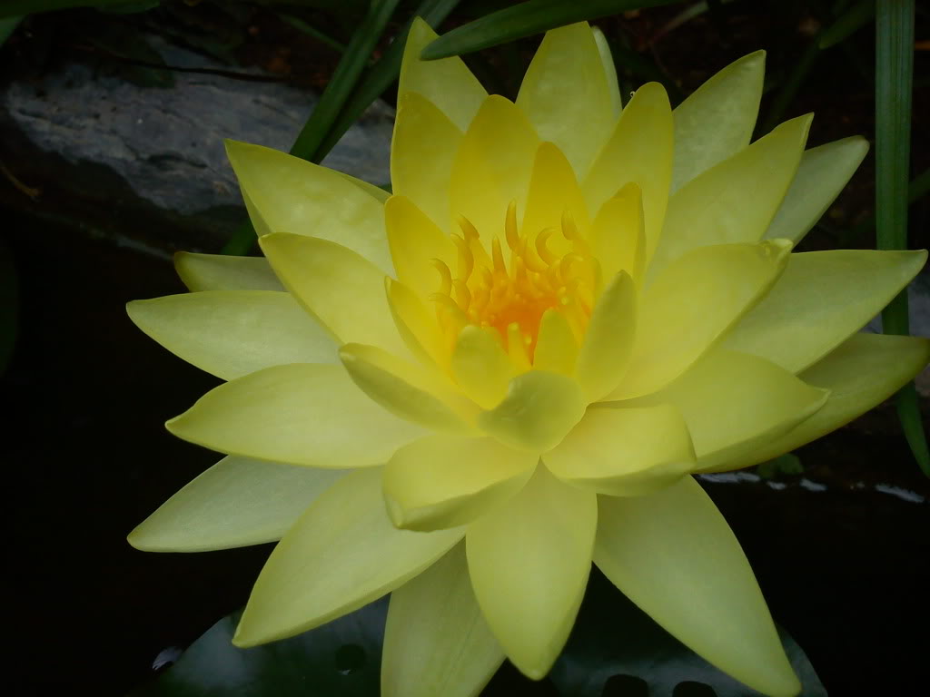 DSC00457.jpg