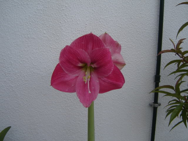 DSC00463.jpg