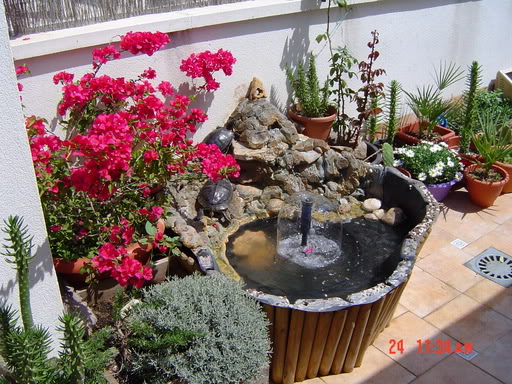 DSC00463.jpg