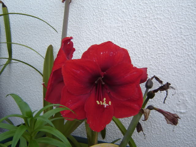 DSC00465.jpg