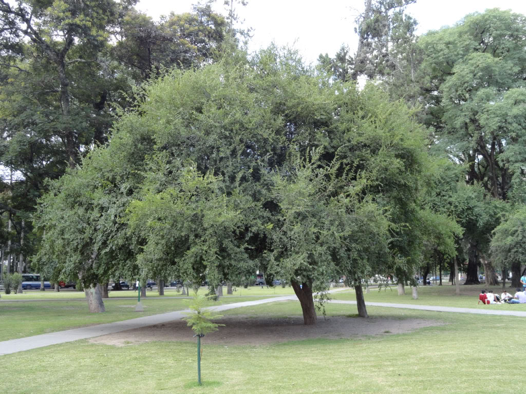 DSC004721.jpg
