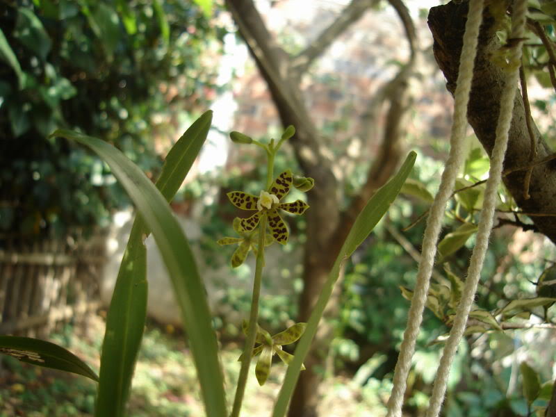 DSC00479.jpg