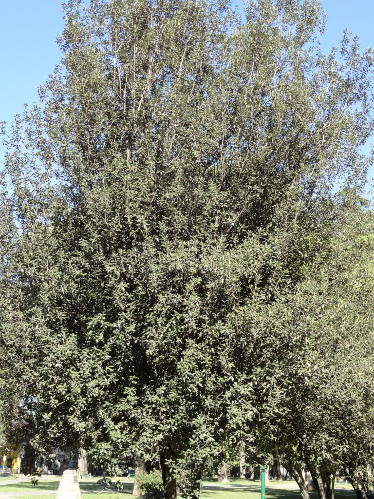 DSC004791.jpg