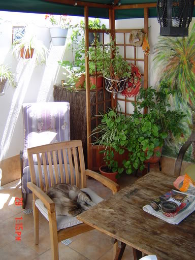 DSC00486.jpg