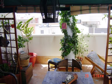 DSC00488.jpg