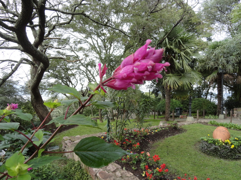 DSC004921.jpg